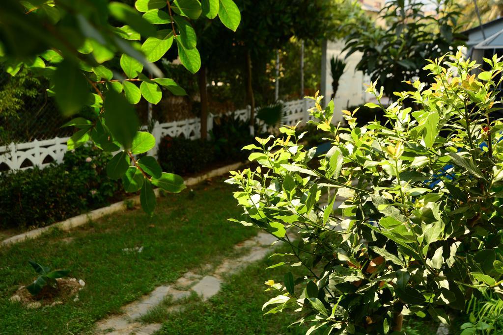 Pinar Hotel ألانيا المظهر الخارجي الصورة